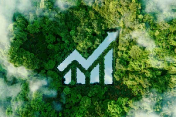 午盘:美股走低科技股领跌 纳指下跌380点